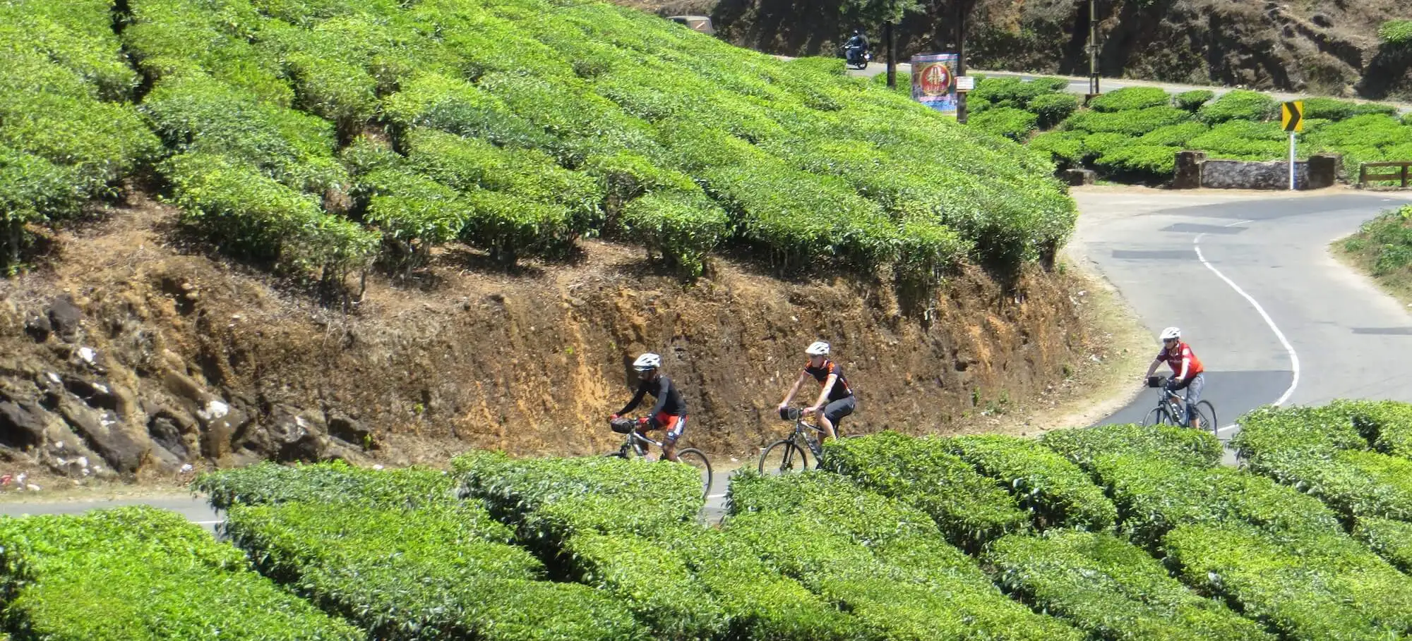 Cycling in South India: Tamil Nadu & Kerala 16 Days